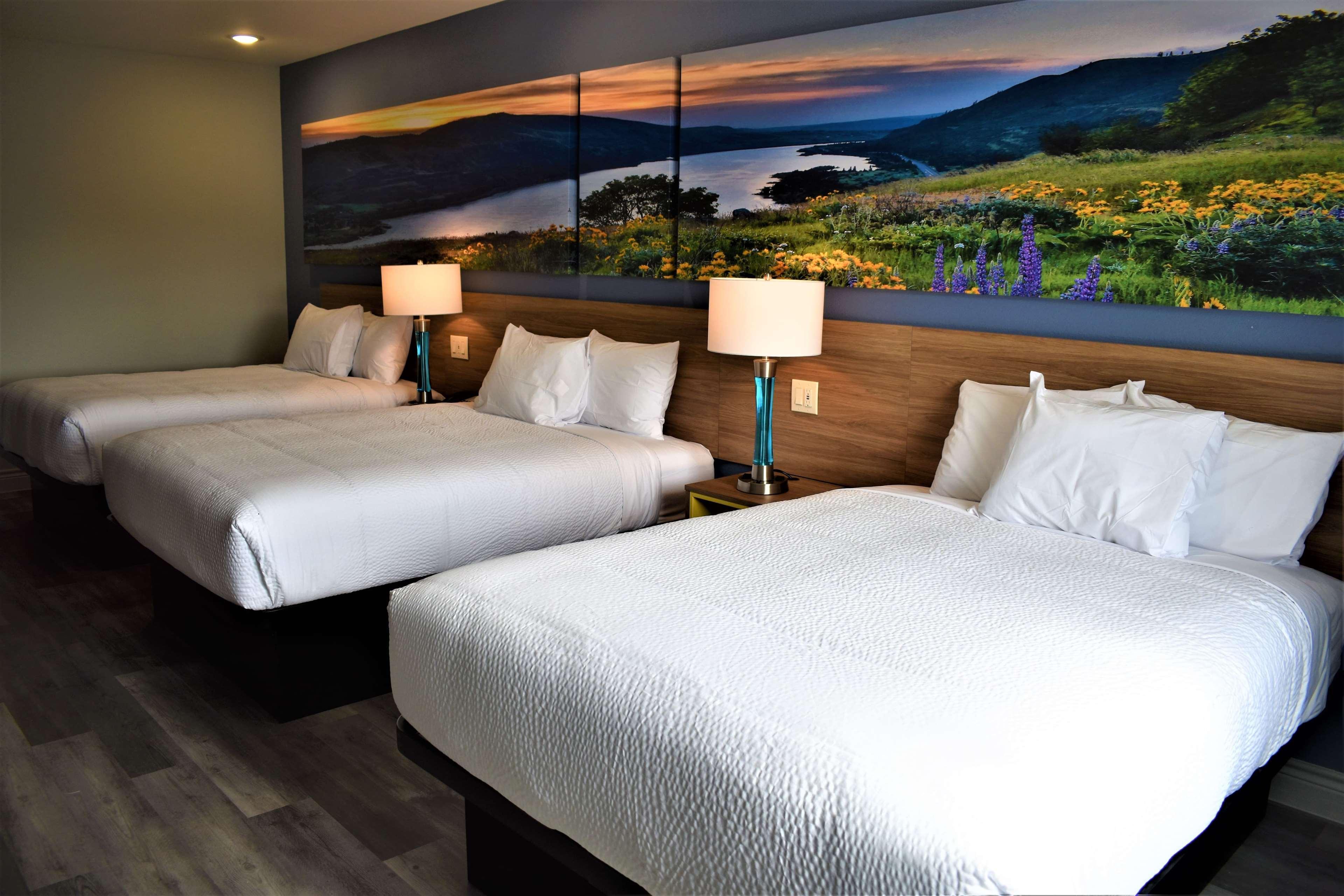 Days Inn & Suites By Wyndham Downtown/University Of Houston Exteriör bild