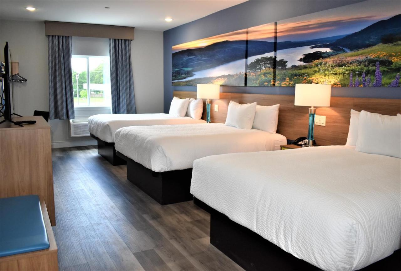 Days Inn & Suites By Wyndham Downtown/University Of Houston Exteriör bild